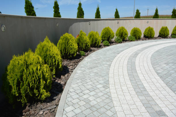 Best Affordable Driveway Pavers  in Knightsen, CA